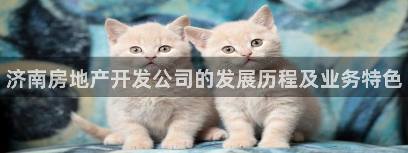万向娱乐官网下载安装最新版