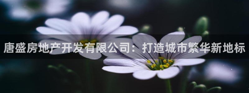 万向娱乐登陆官网下载