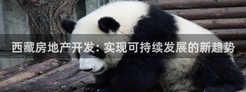 万向娱乐公司官网电话