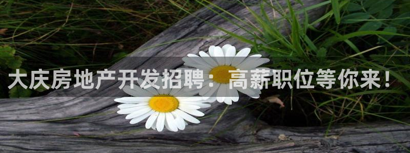 万向娱乐是野鸡台吗