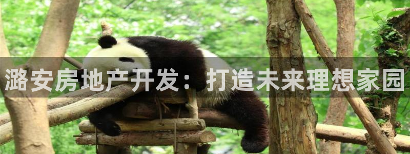万向娱乐公司官网首页