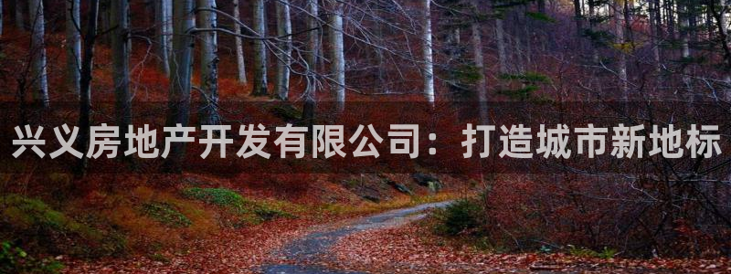 万向娱乐老板