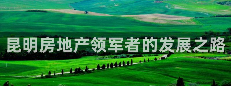 万向娱乐官网下载安装手机版