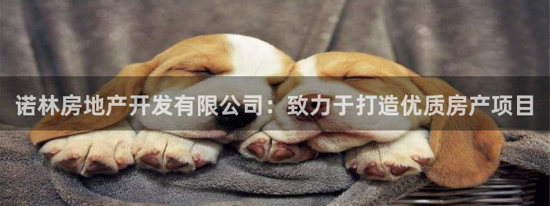 万向娱乐平台代理怎么做的