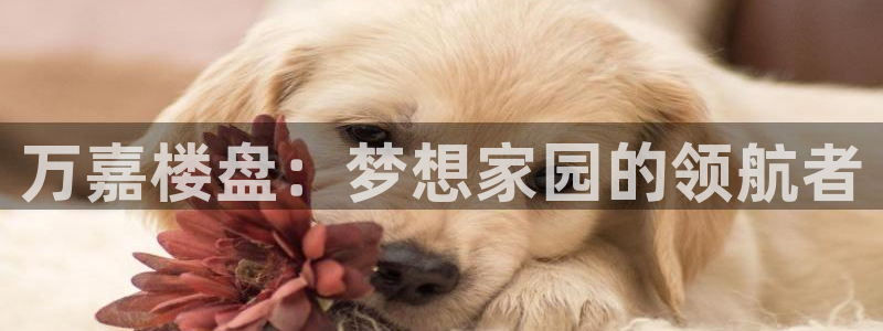 万向娱乐官网下载安装最新版