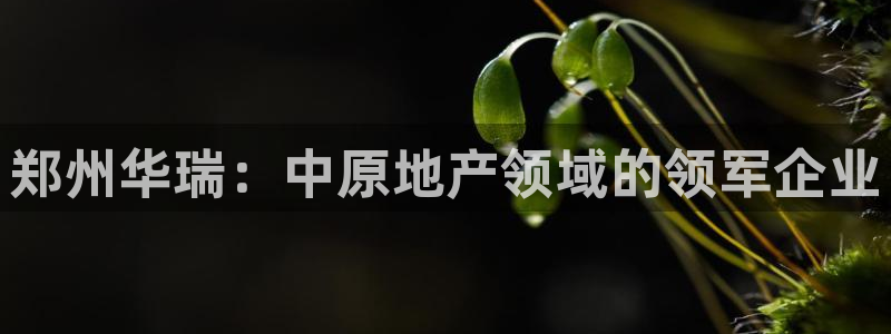 万向娱乐平台代理怎么样啊