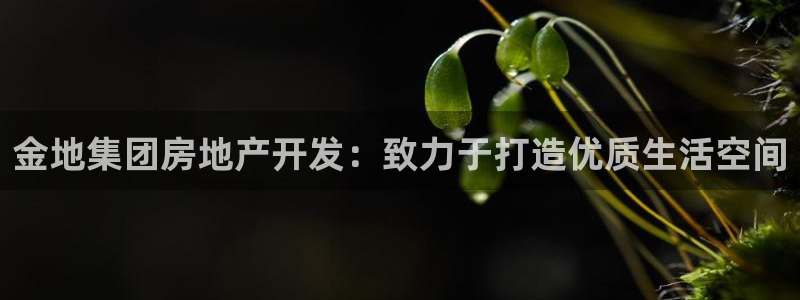 万向娱乐代理好看视频是真的吗