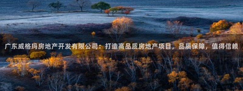 万向娱乐平台代理多少钱