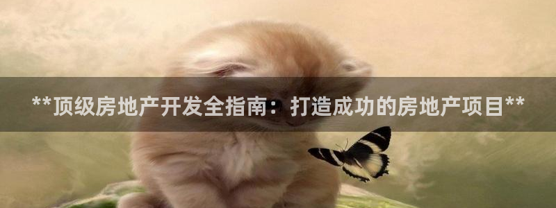 万向娱乐网址是什么