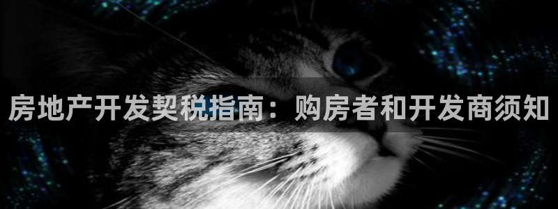 万向娱乐代理好看视频