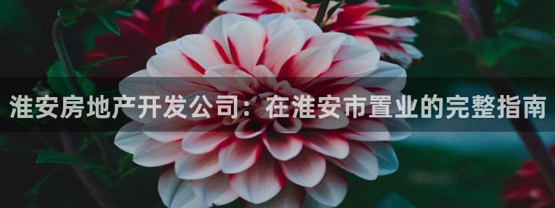 万向娱乐app下载安装