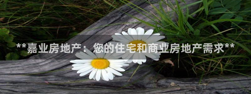 万向娱乐官网网址