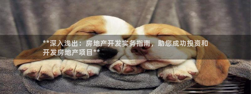 万向娱乐王者荣耀