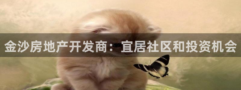 万向娱乐平台代理怎么做的