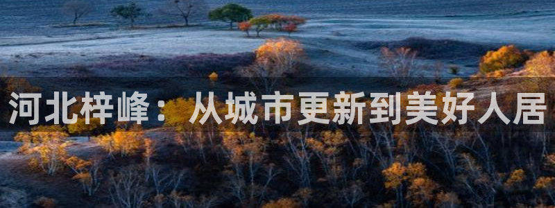 万向娱乐技术分享