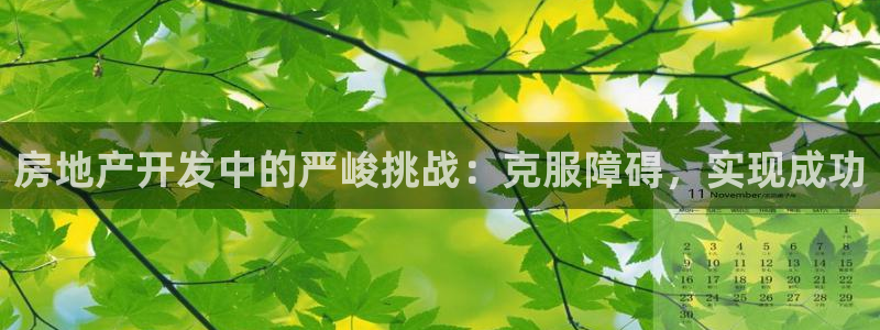 万向娱乐的494o3 主管