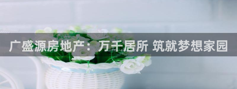 万向娱乐公司 585.34I 娱乐
