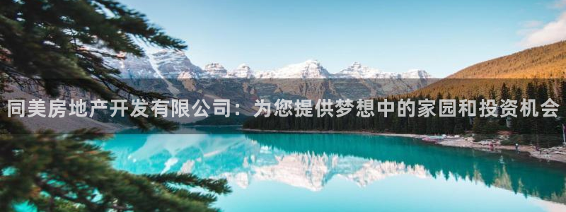 万向娱乐公司 585.34I 娱乐