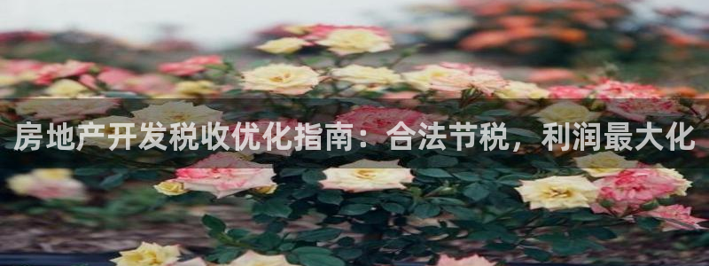 万向娱乐网址是什么