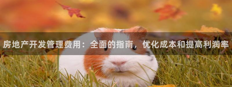 万向娱乐王者荣耀