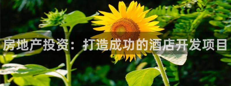 万向娱乐平台代理怎么样