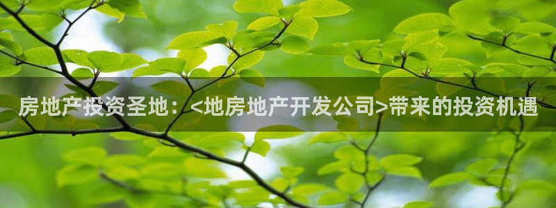 万向娱乐挂机软件