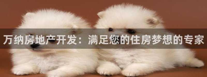 万向娱乐挂机