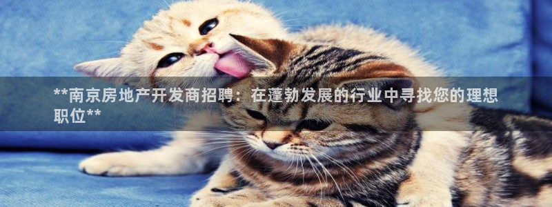 万向娱乐的联系方式是什么