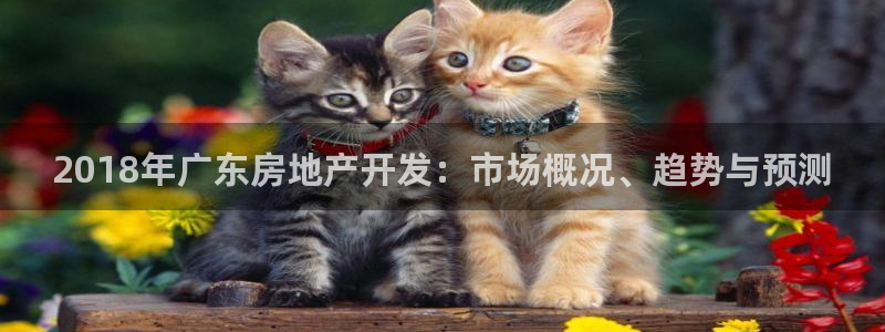 万向娱乐代理好看视频