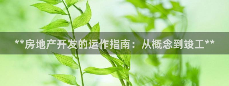 万向娱乐官网网址大全