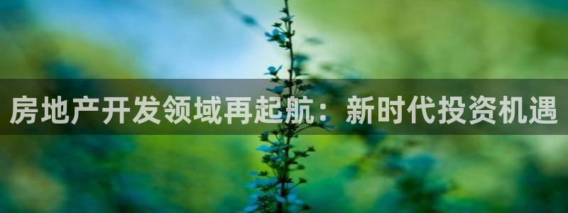 万向娱乐平台代理怎么样啊