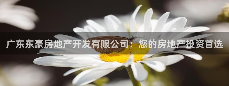 万向娱乐官网网址