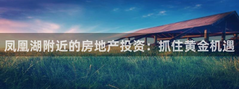 万向娱乐的494o3 主管