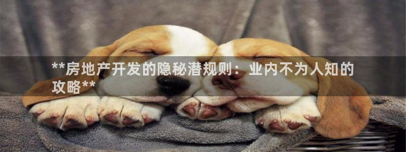 万向娱乐平台代理多少钱一个月