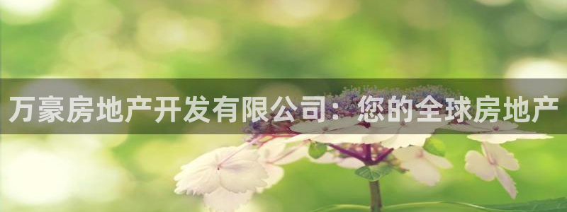 万向娱乐技术