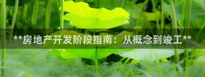 万向娱乐总代