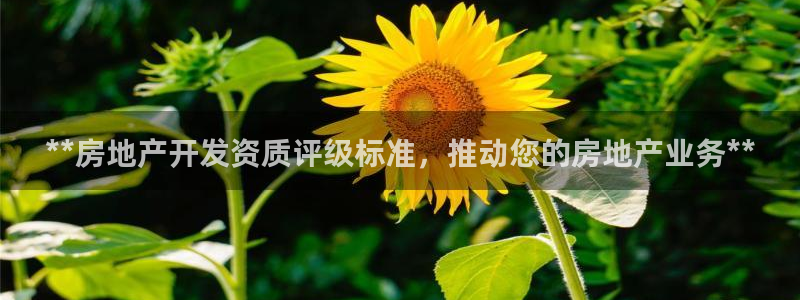万向娱乐挂机软件