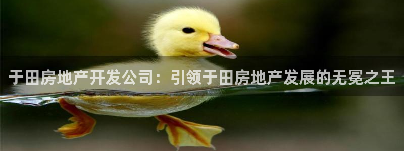万向娱乐官网下载安装