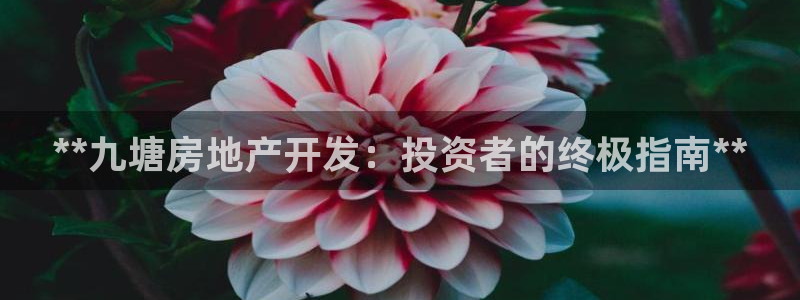 万向娱乐技术分享