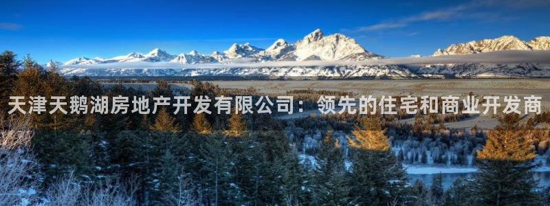 万向娱乐公司 585.34I 娱乐