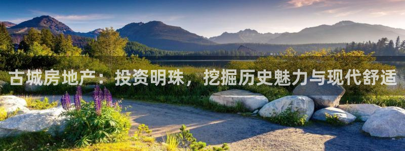 万向娱乐是野鸡台吗