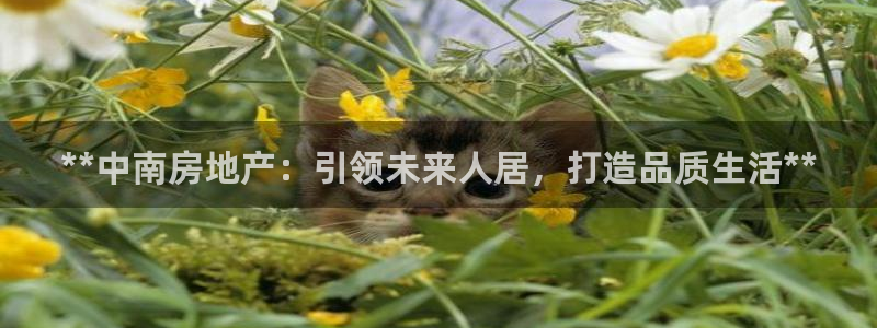 万向娱乐怎么样