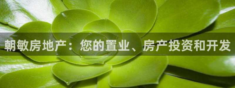 万向娱乐平台代理多少钱