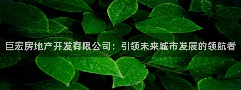 万向娱乐登陆官网入口