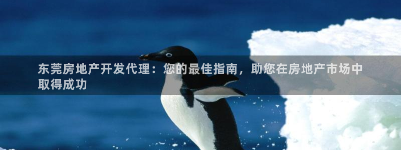 万向娱乐老板
