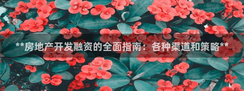 万向娱乐挂机软件