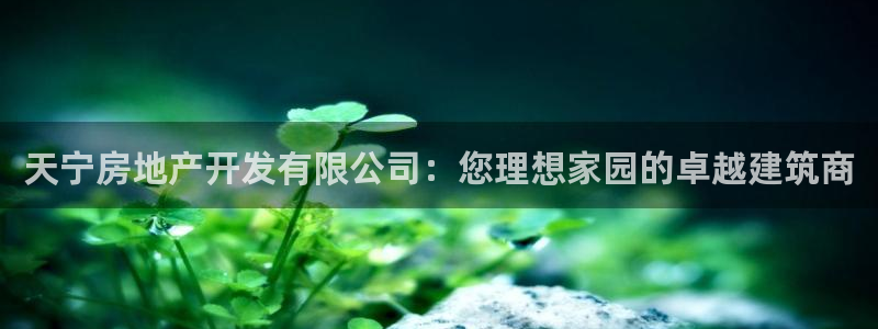 万向娱乐平台代理多少钱一年