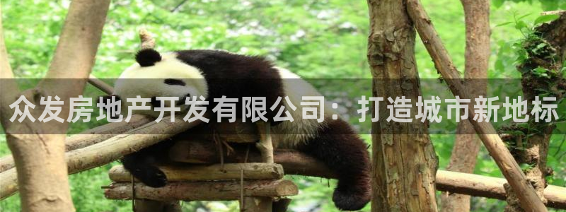 万向娱乐技术