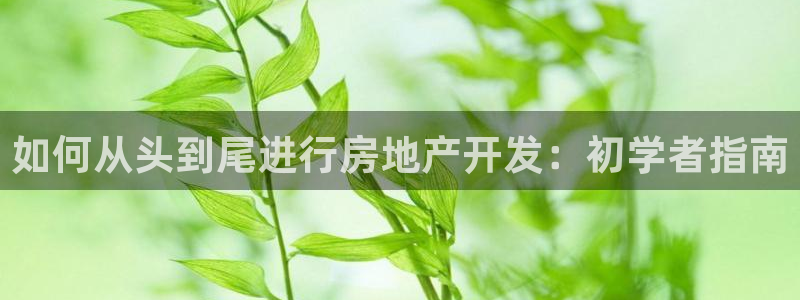 万向娱乐平台代理怎么样啊