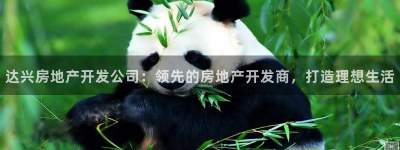 万向娱乐技术